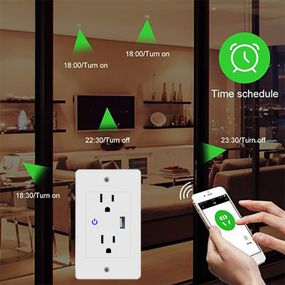 Google Home Alexa Universal Tuya Wifi স্মার্ট ওয়াল সকেট 1 ইউএসবি সহ