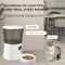 Glomarket Smart Tuya Pet Automatic Feeder Wifi 6L Dog Cat Food App ক্যামেরা পোষা অটোমেটিক ফিডার সহ রিমোট কন্ট্রোল