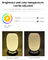 Glomarket Tuya Wifi 3D প্রিন্ট স্মার্ট ল্যান্টার্ন লাইট 16 মিলিয়ন রঙের উজ্জ্বল সমন্বয়