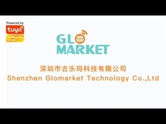 Tuya Zigbee গেটওয়ে