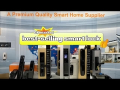 LK0121-স্মার্ট লক